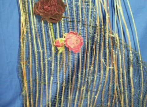 "Εάν δε σπάσεις αυγά, δεν κάνεις ομελέτα"